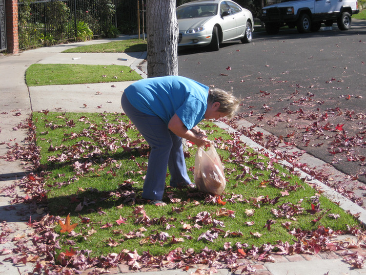 Carri goes picking