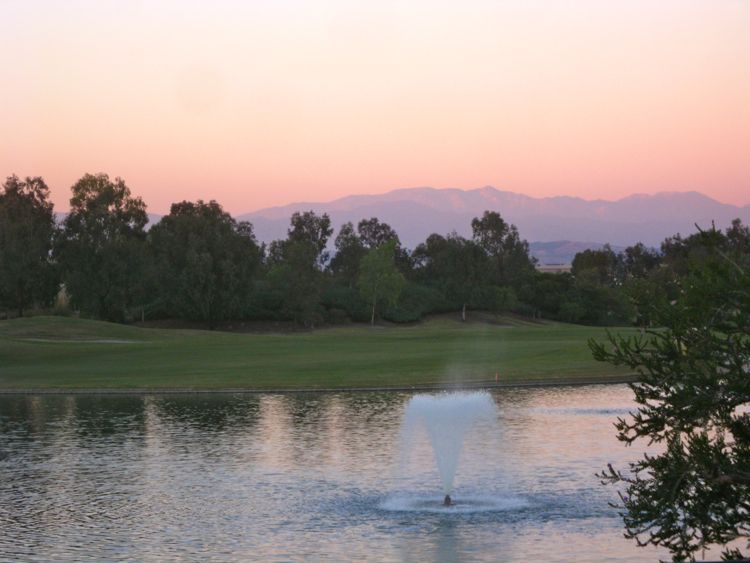 2010