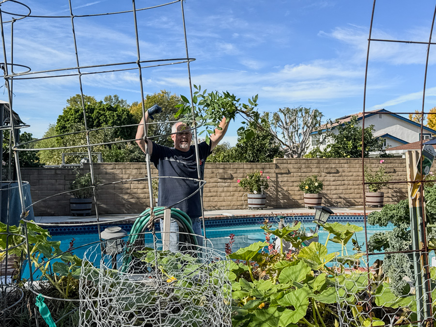 2-25-11-27 Thanksgiving