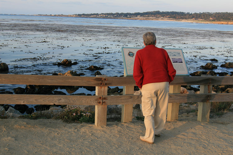 17 Mile Drive 2008