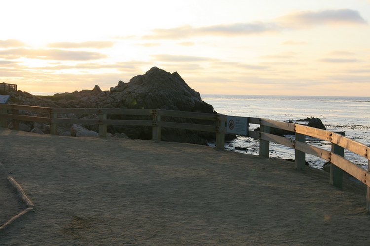 17 Mile Drive 2008