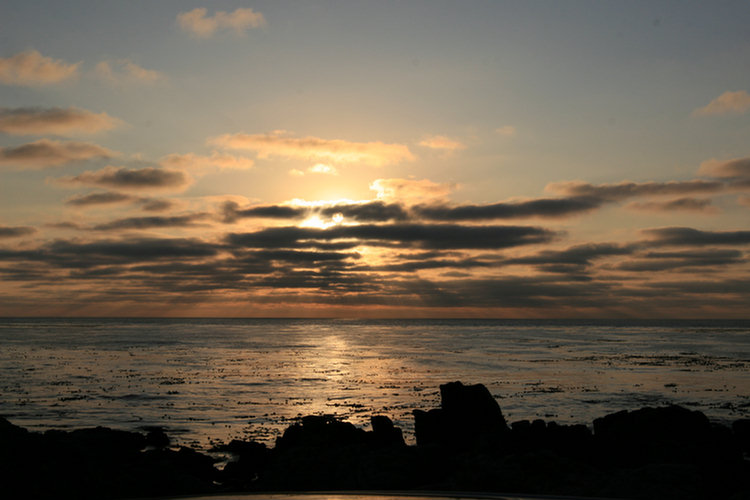 17 Mile Drive 2008