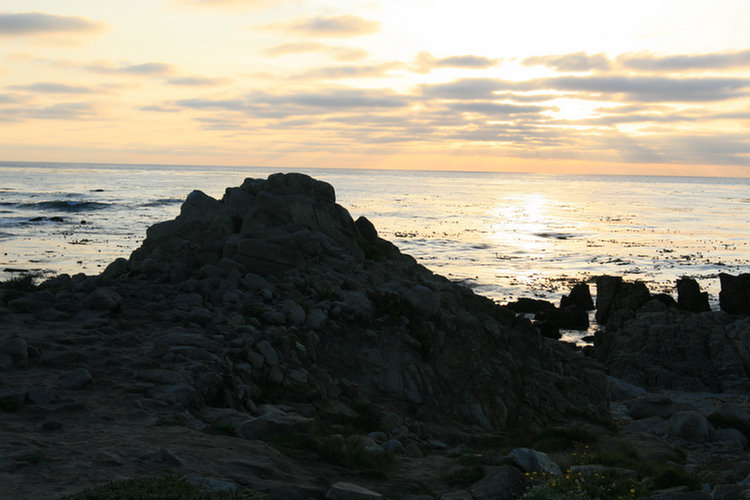 17 Mile Drive 2008