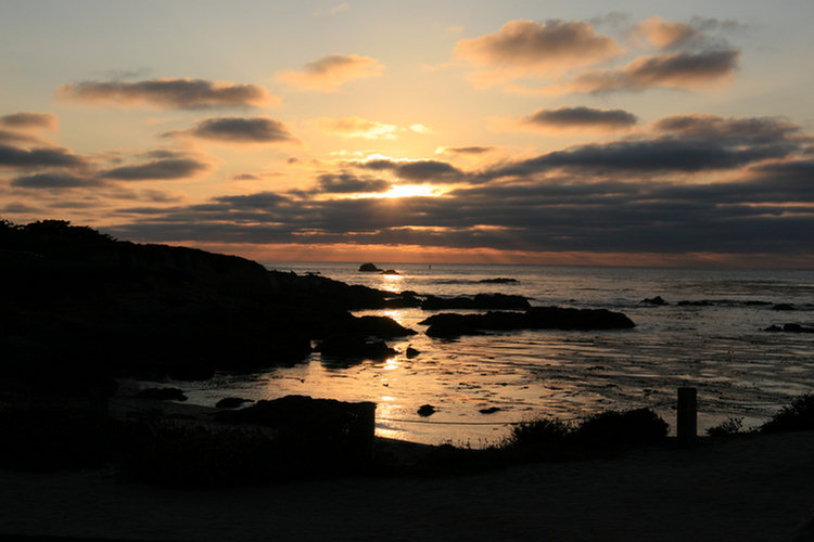 17 Mile Drive 2008