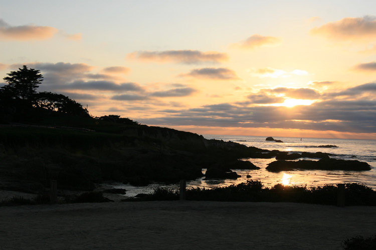 17 Mile Drive 2008