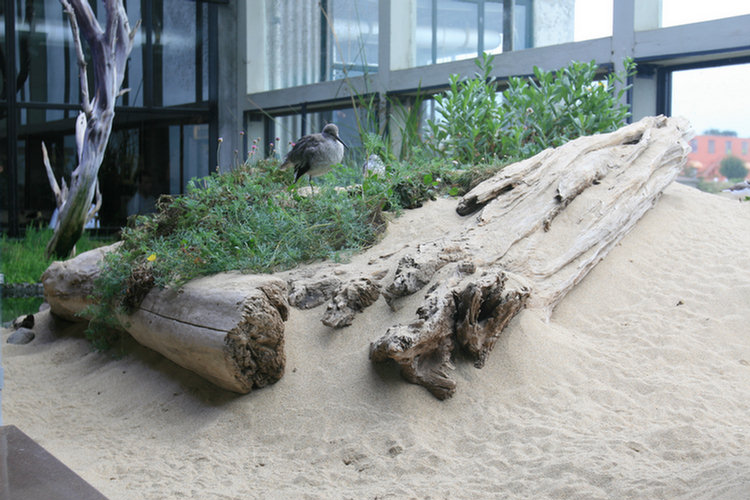 Monterey Aquarium - 2008