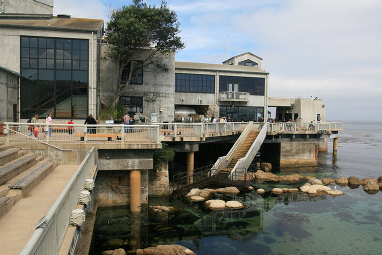 Monterey Aquarium - 2008