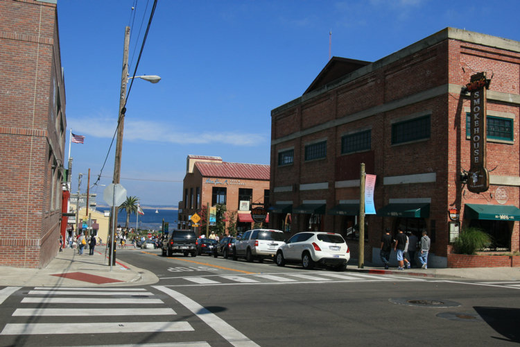 Monterey Aquarium Page Two - 2008