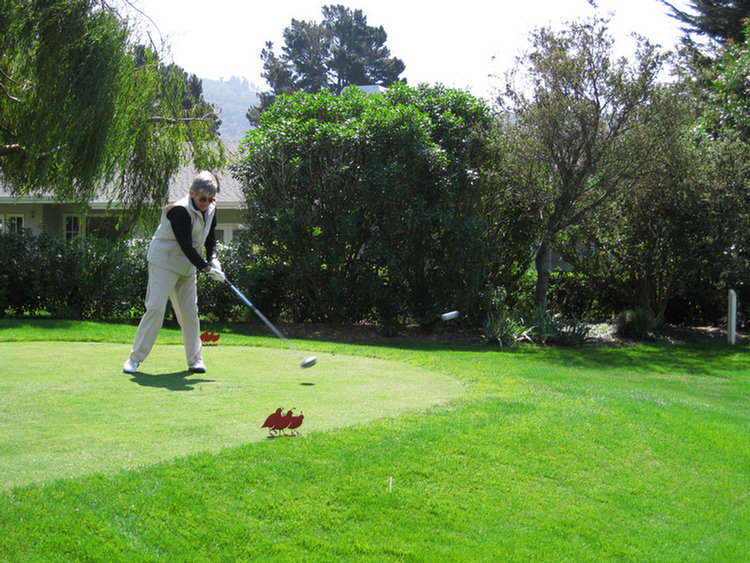 Golf, Day Two at Quial Lodge 2008