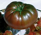 Heirloom tomato