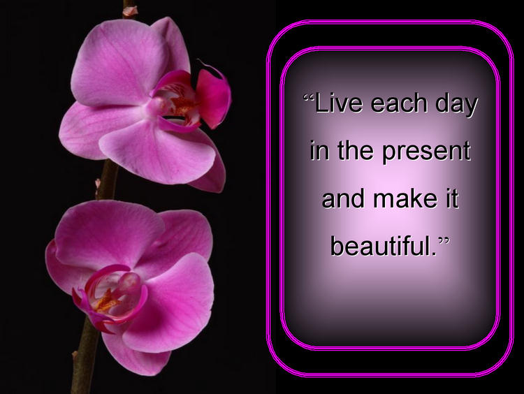 Learn To Live Using Simple Guidelines!