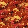 Miscellaneous backgrounds