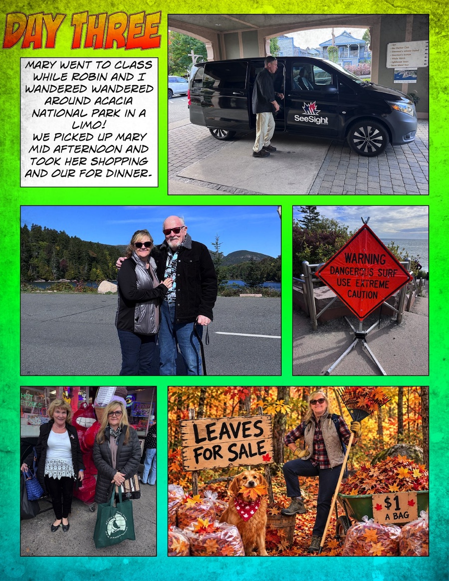New Hampshire 2026 Comics