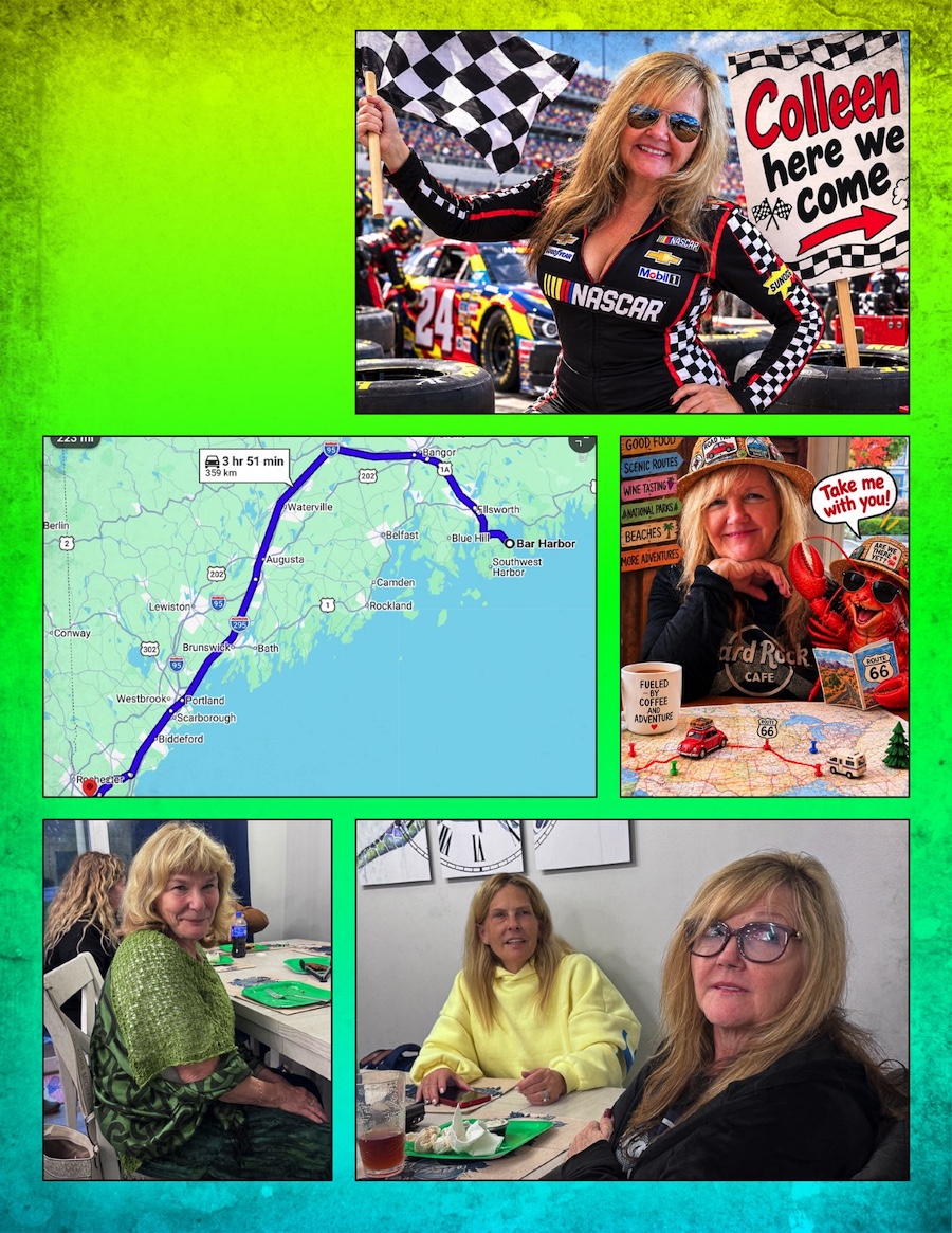 New Hampshire 2026 Comics