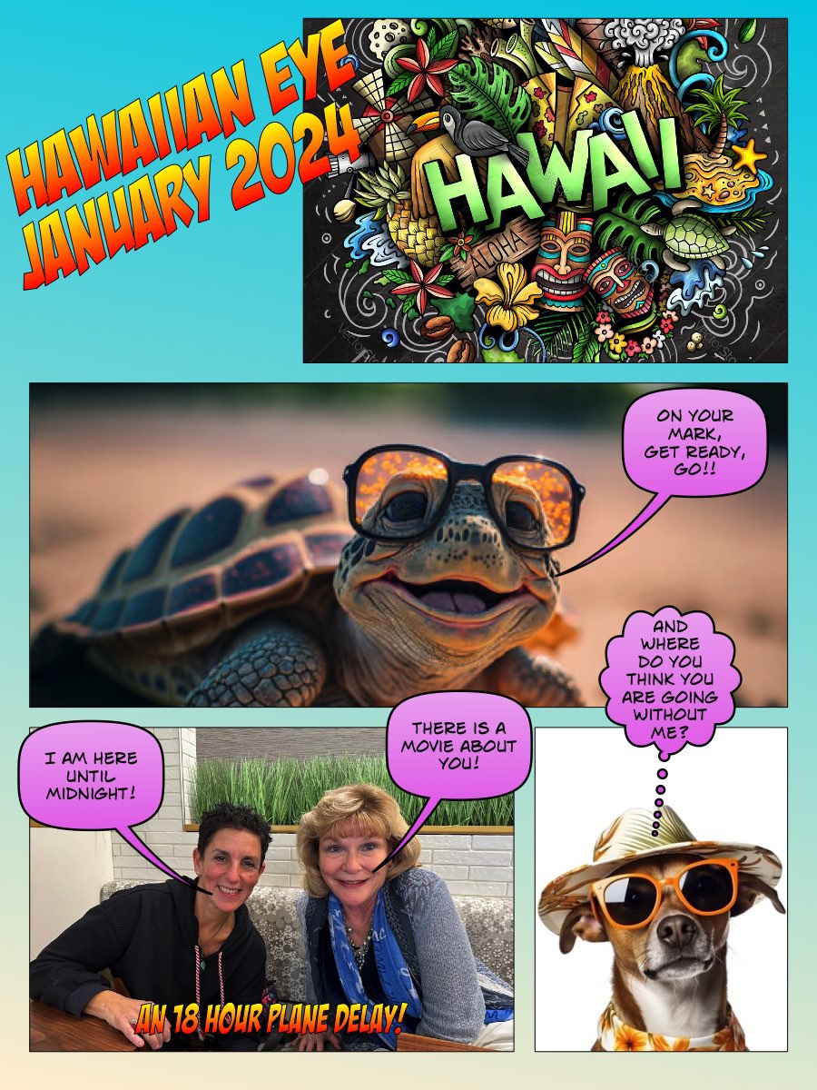 January in Paradise, Maui Hawaii Comics