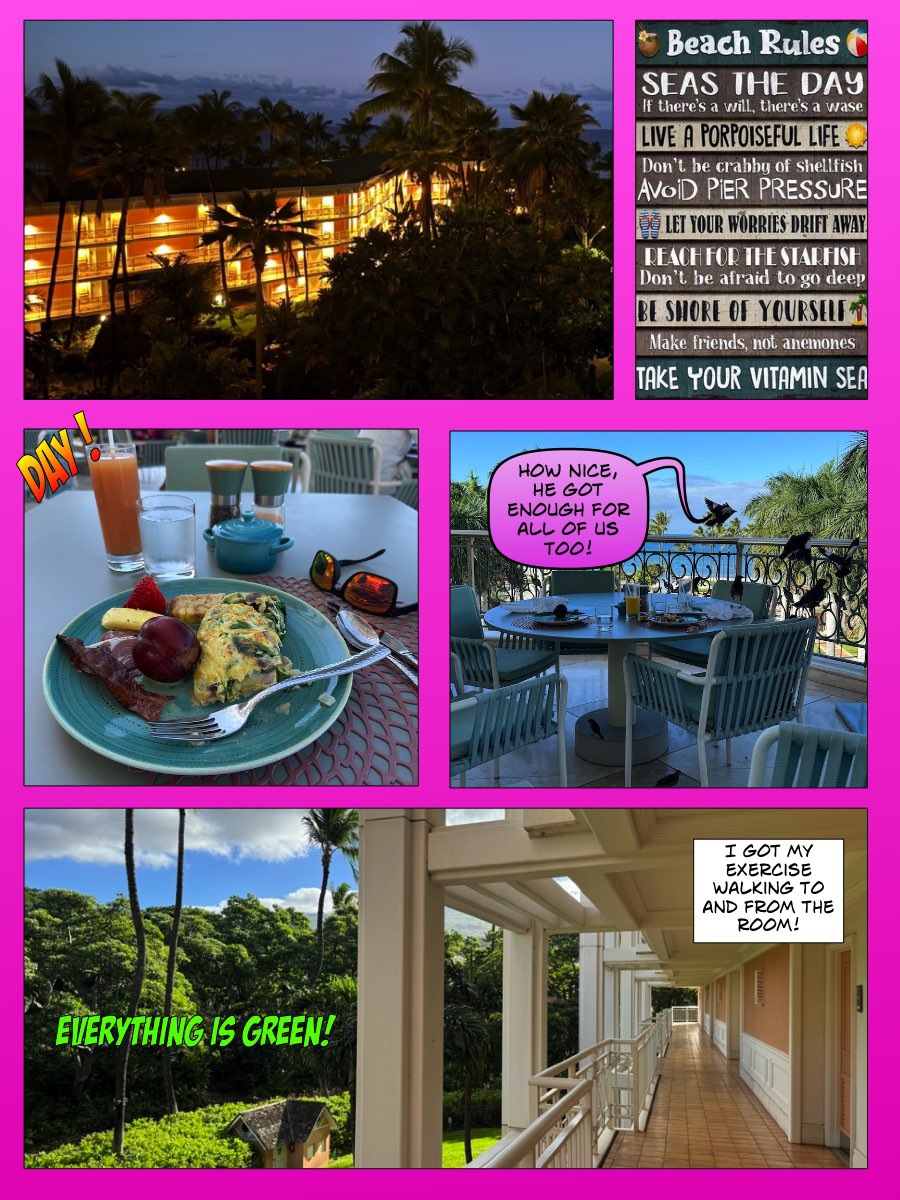 January in Paradise, Maui Hawaii Comics