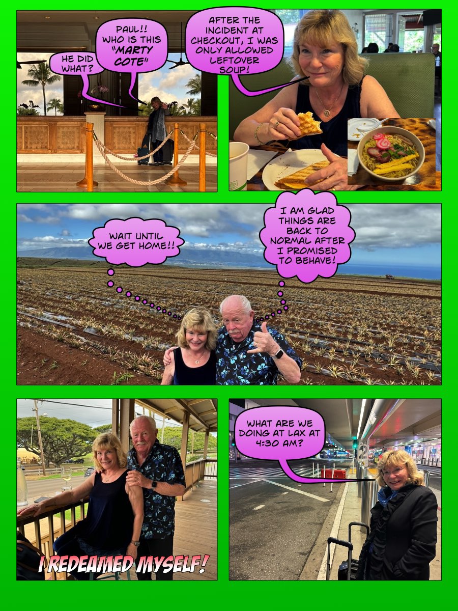 January in Paradise, Maui Hawaii Comics