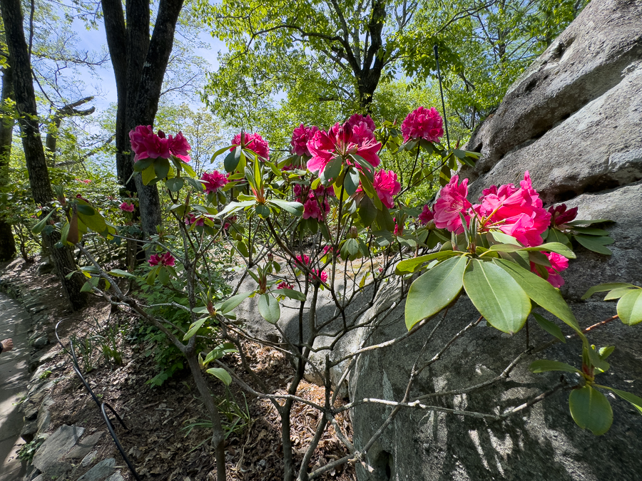 2024-04-17 Chattanooga Tennessee