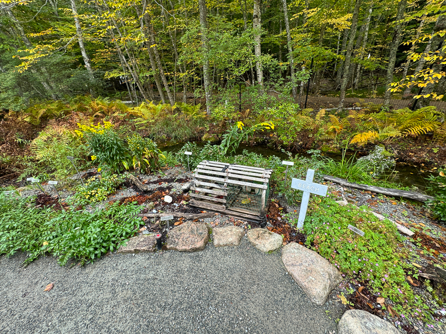 Day 3 - Mary's at school; Paul visit Acadia