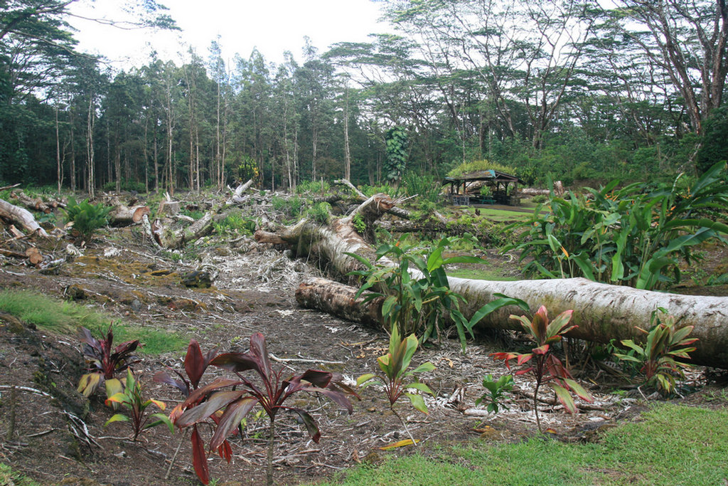 Hilo