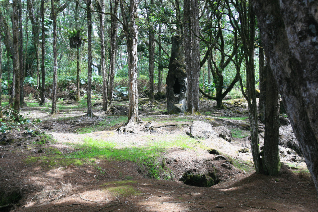 Hilo