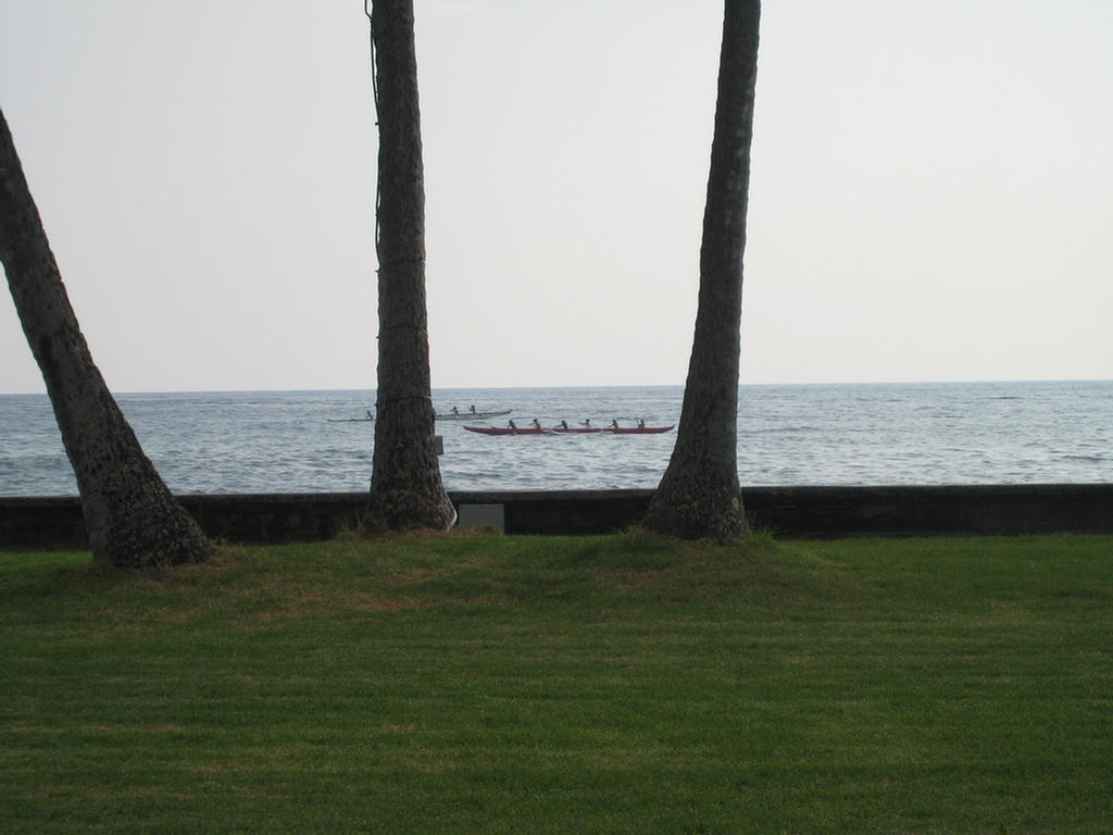 Kona Golf Adventure