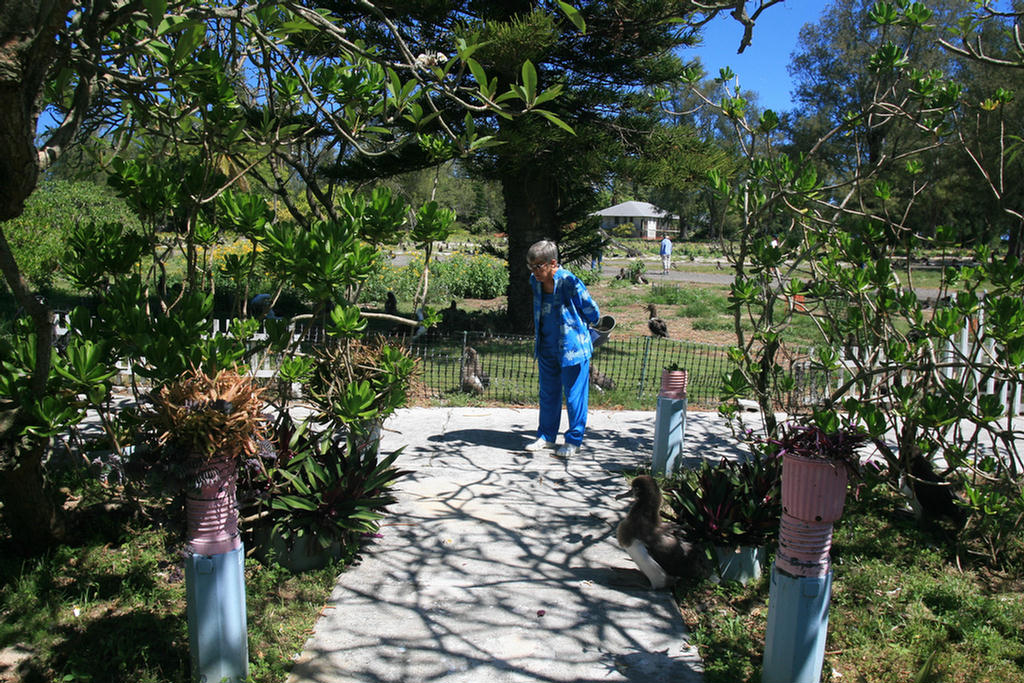 Midway Island 2006