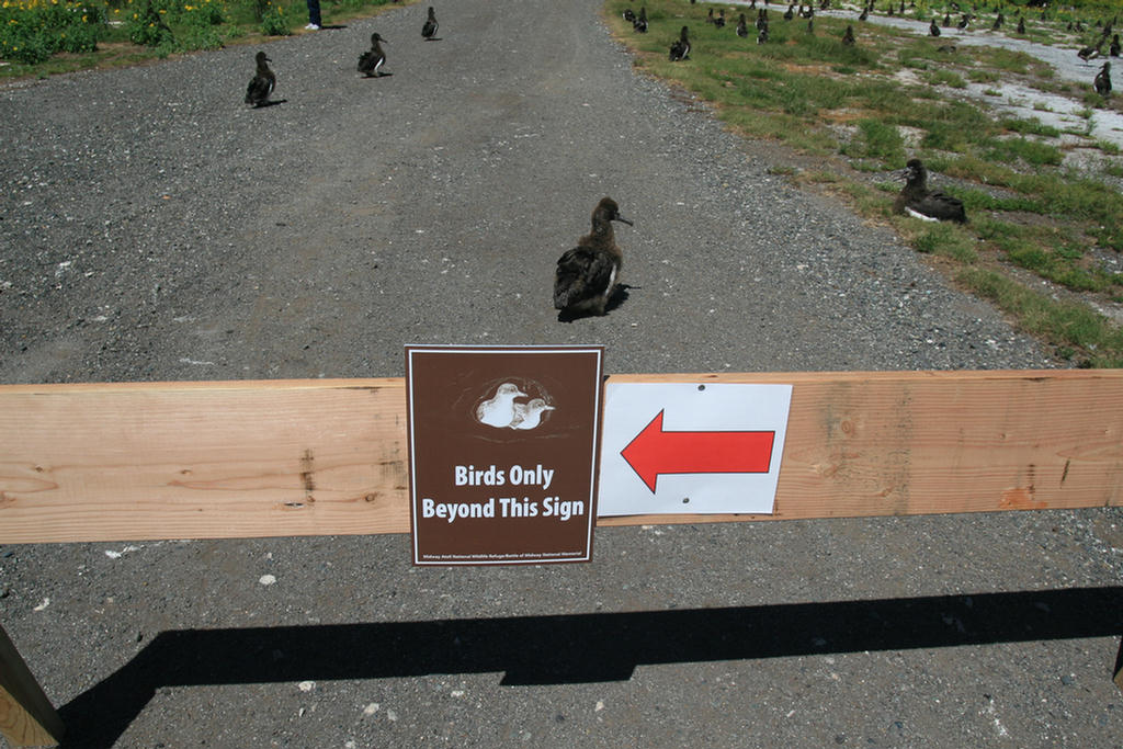 Midway Island 2006