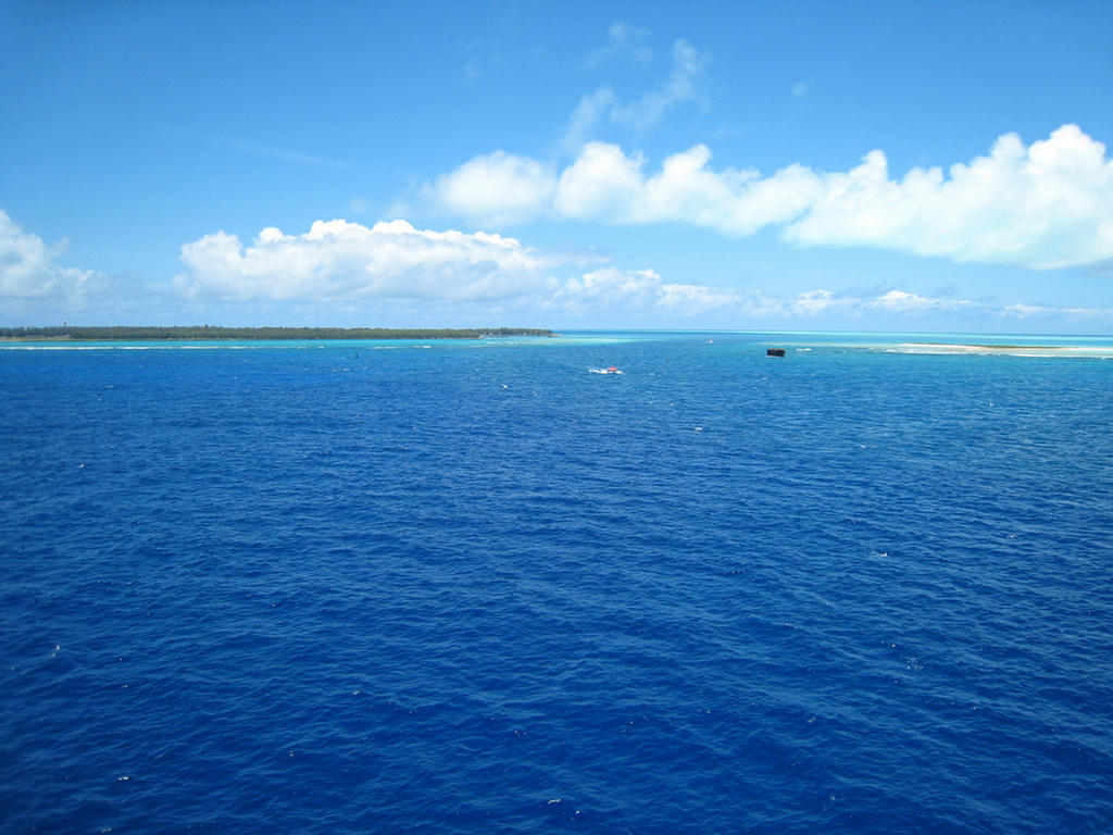 Midway Island 2006