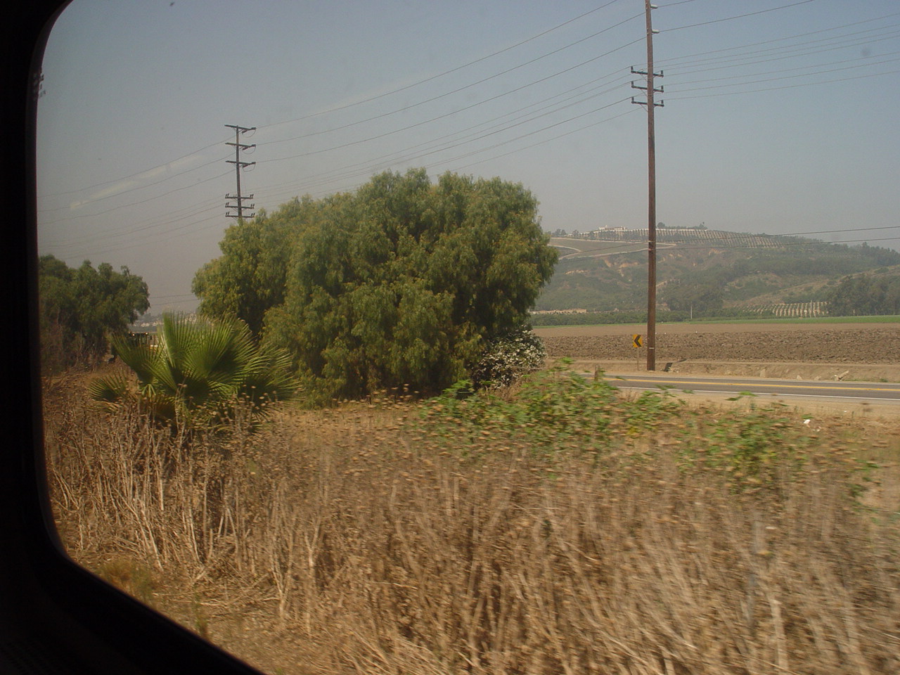 Ventura County Fair 2005