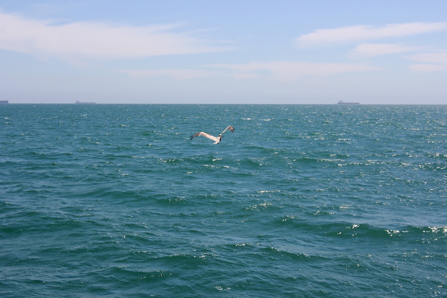 June 4th Water Taxi adventure