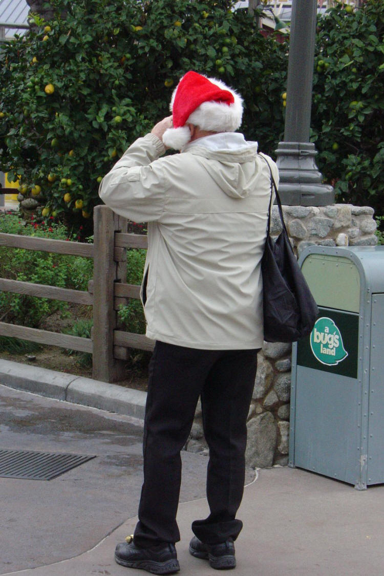 Christmas Eve at Disneyland 2008