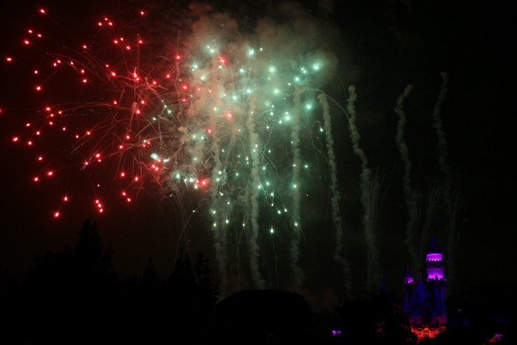 Quick visit to Disneyland