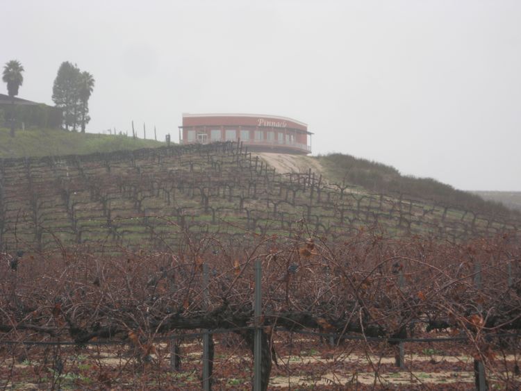 Christmas wine tasting in Temecula