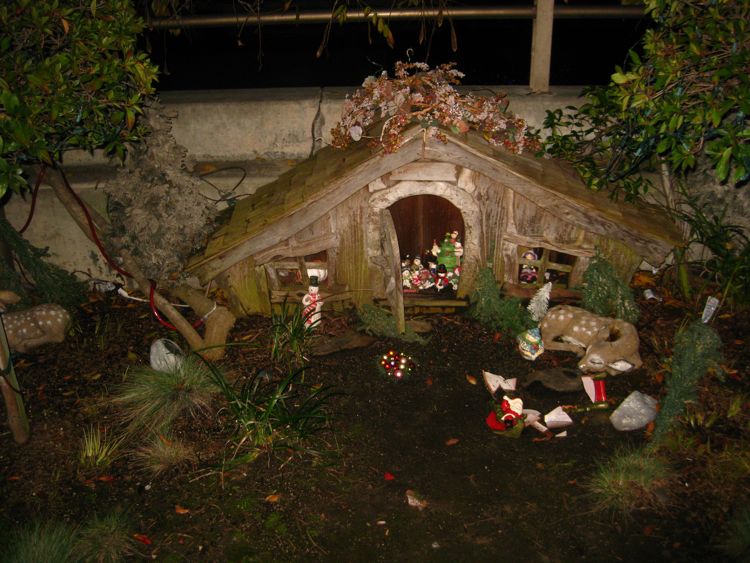 Annual Naples walk of lights 2010