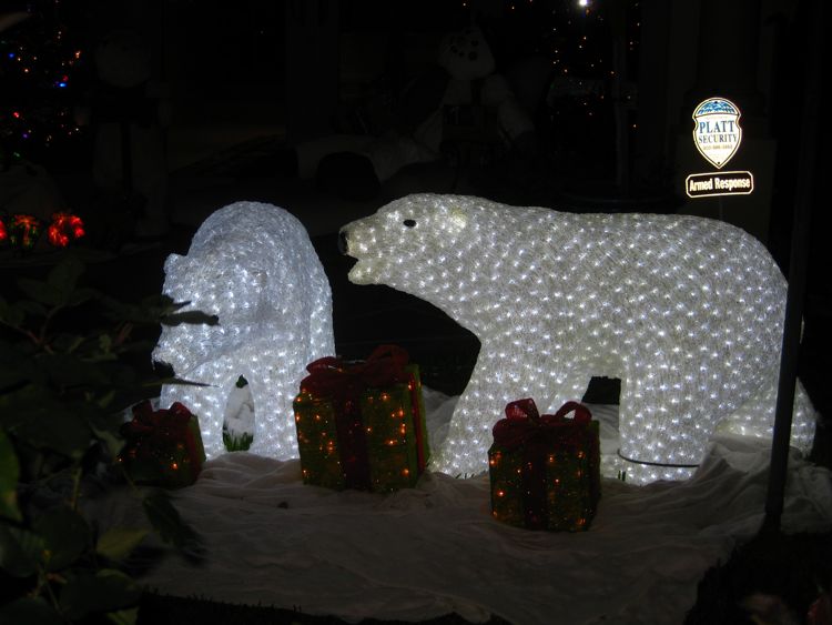 Annual Naples walk of lights 2010