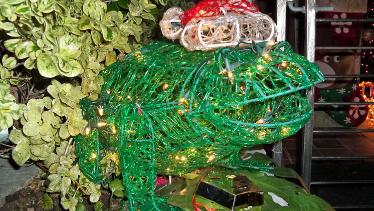 Carri cam Annual Naples walk of lights 2010