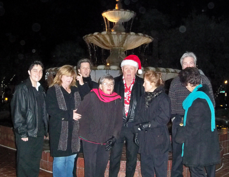 Carri cam Annual Naples walk of lights 2010