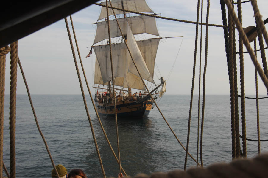 December 21st 2014 Battle Sail