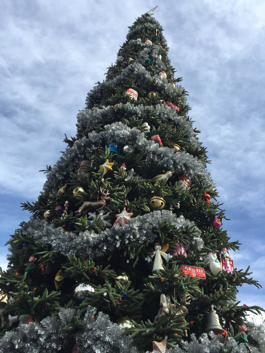 Christmas Eve at Disneyland 2014