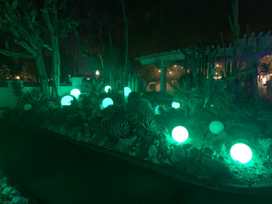 Night of 10,000 Lights at Sherman Gardens in Corona Del Mar with the  Finch's