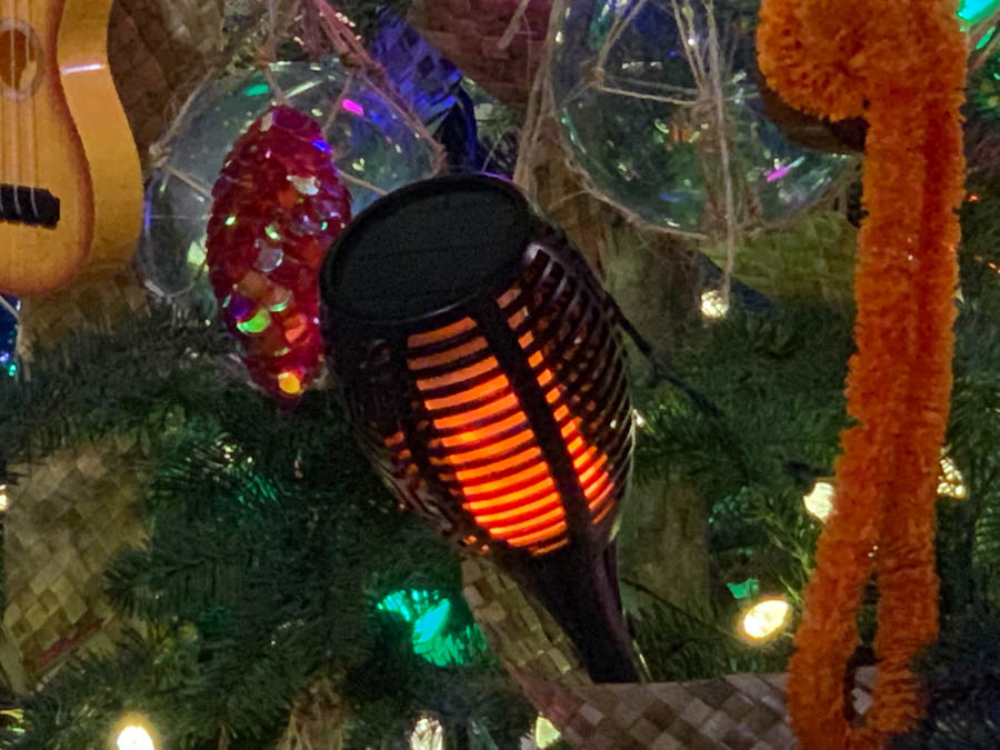 Night of 10,000 Lights at Sherman Gardens in Corona Del Mar with the  Finch's