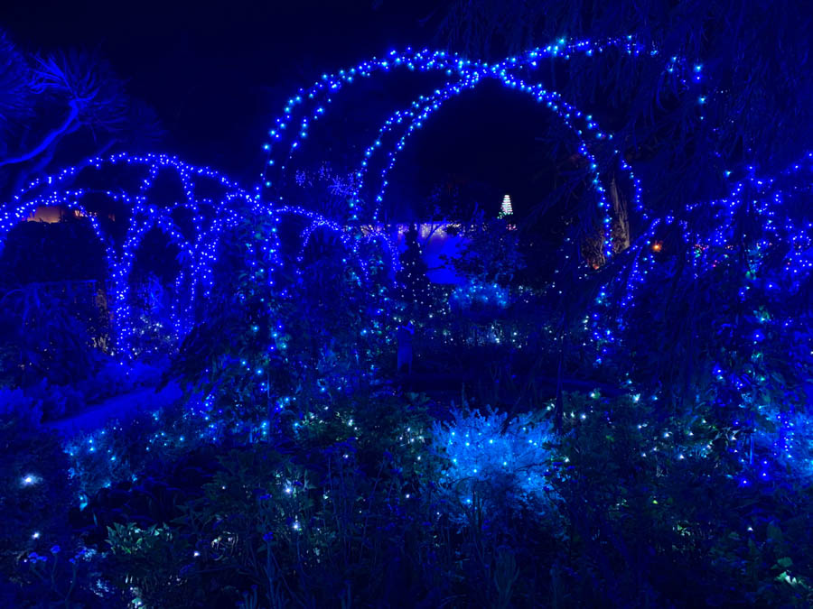Night of 10,000 Lights at Sherman Gardens in Corona Del Mar with the  Finch's