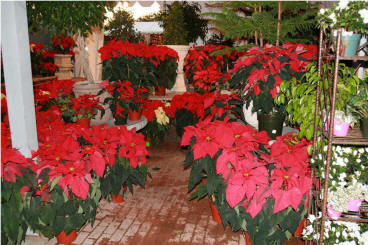 Best Of Christmas 2006