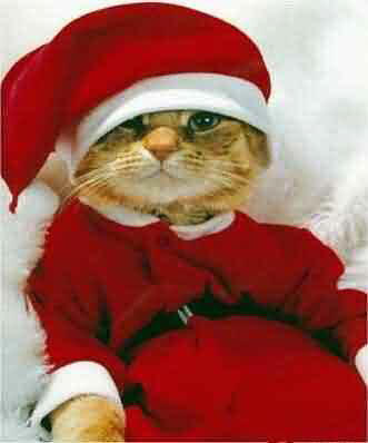 Christmas Humor
