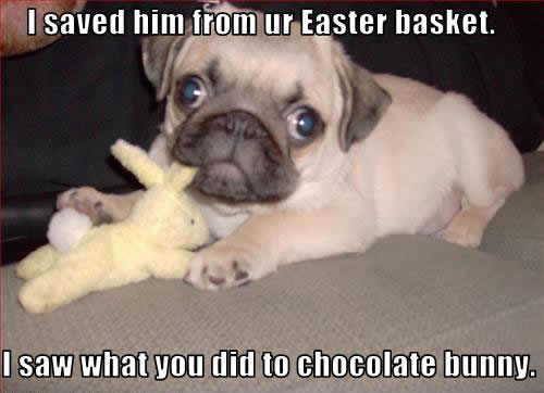 Happy Easter 2011