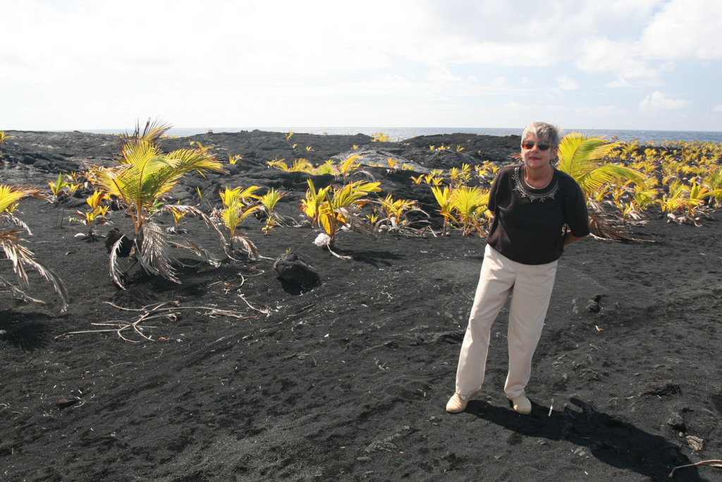 Waling The Lava Fields On Hilo