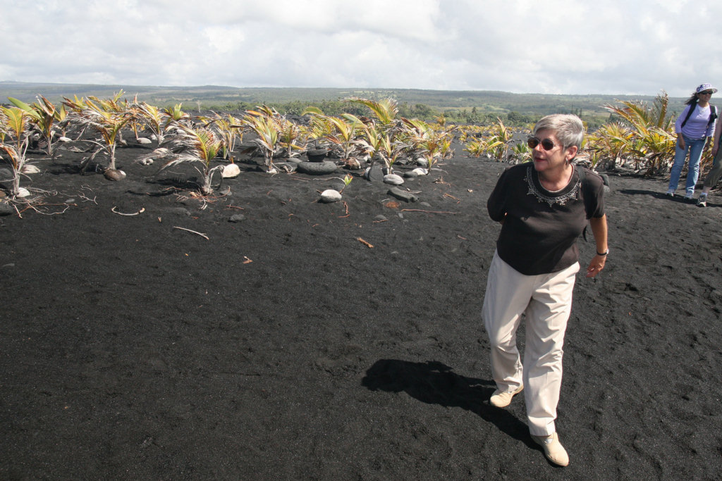 Waling The Lava Fields On Hilo