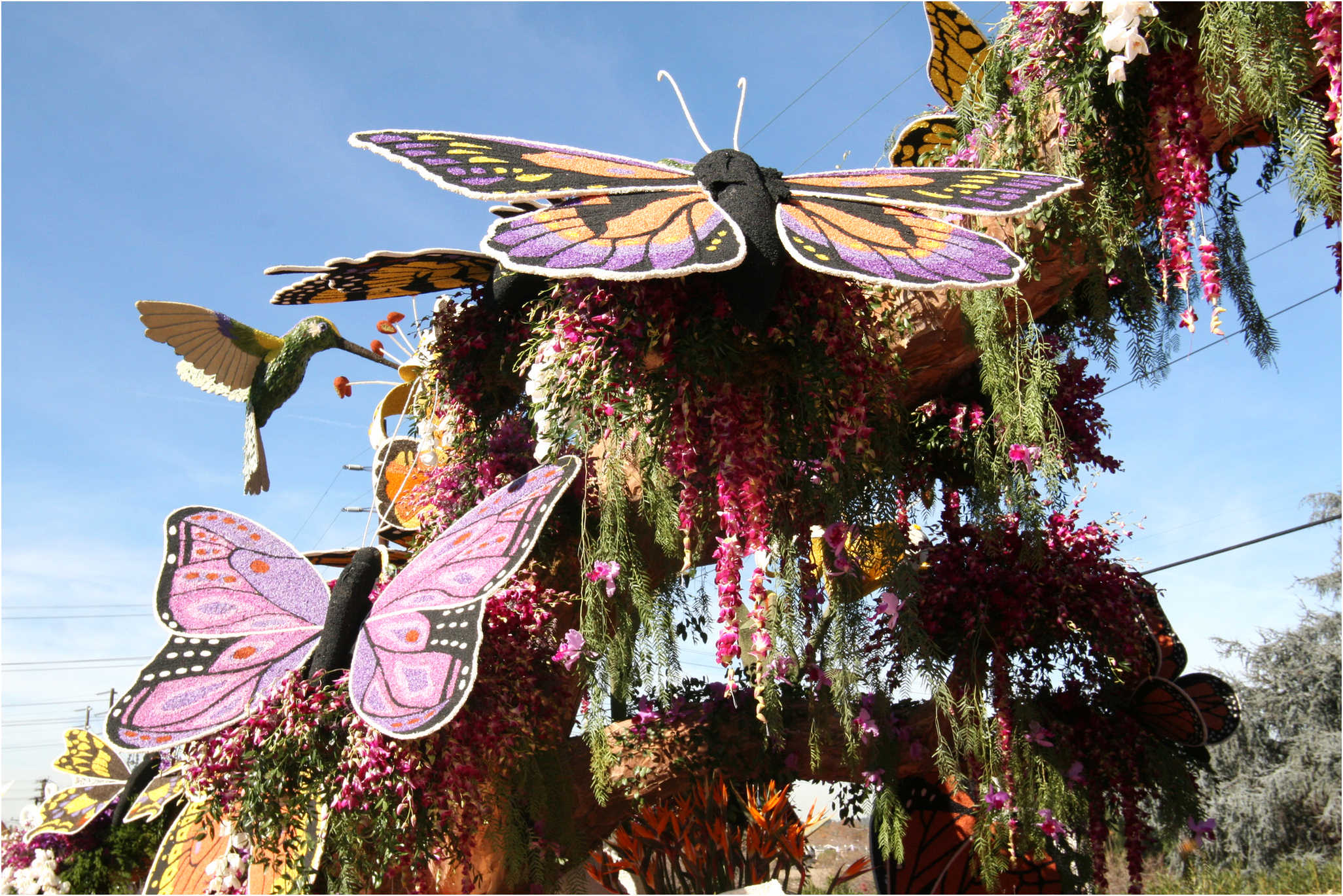 Rose Parade Walk  2007