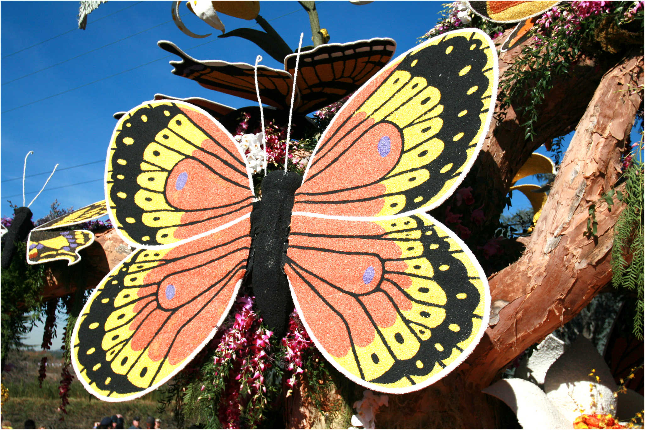 Rose Parade Walk  2007